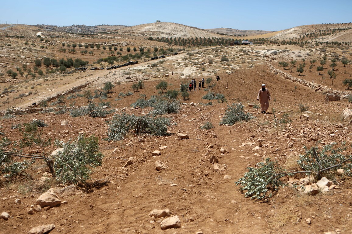 MIDEAST-HEBRON-OLIVE TREES-ISRAELI SETTLERS-VANDALISM