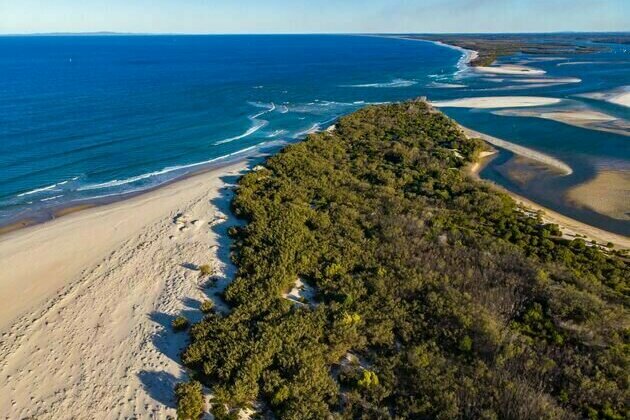 We combed through old botanical surveys to track how plants on Australia's islands are changing