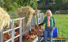 In your field: Helen Stanier - "I always find it helpful and reassuring to share our challenges with others"