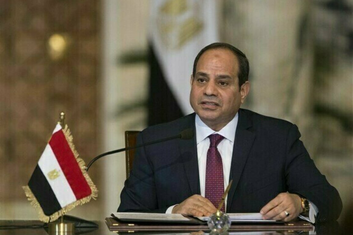 People of Gaza Facing A Systematic Genocide: Egyptian President