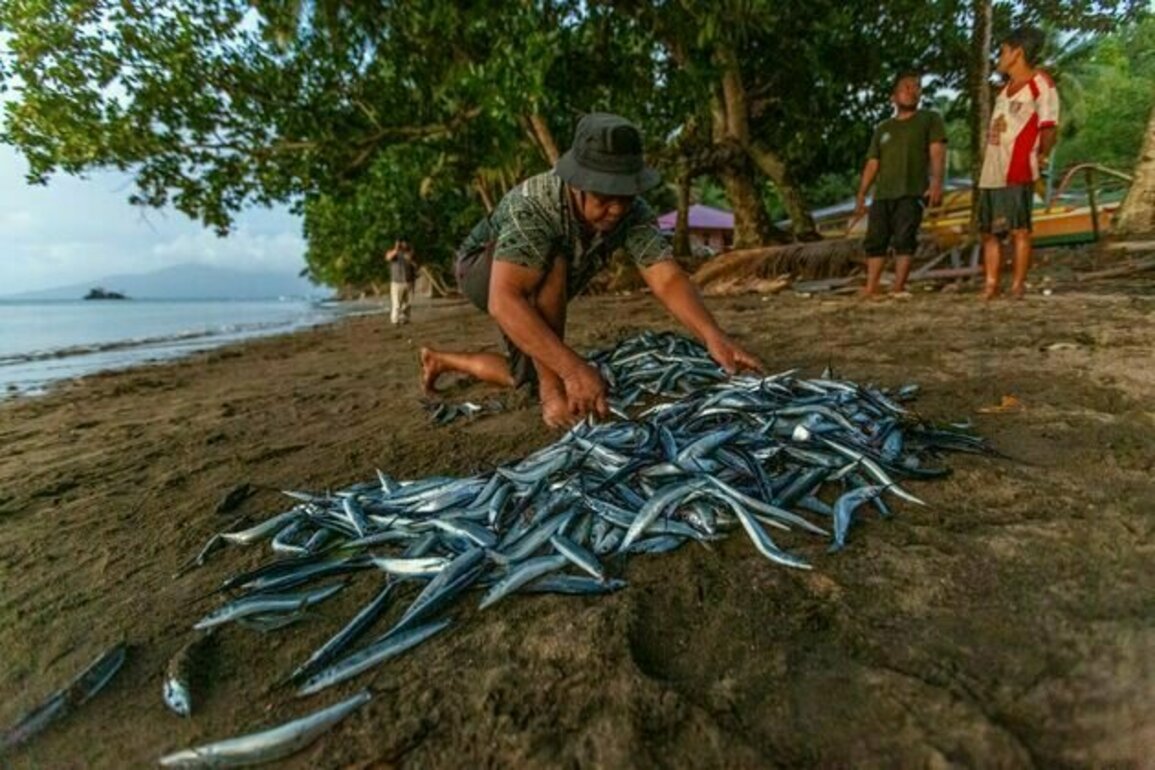 Bidik pasar perikanan Uni Eropa dan jadikan industri nasional berkelanjutan