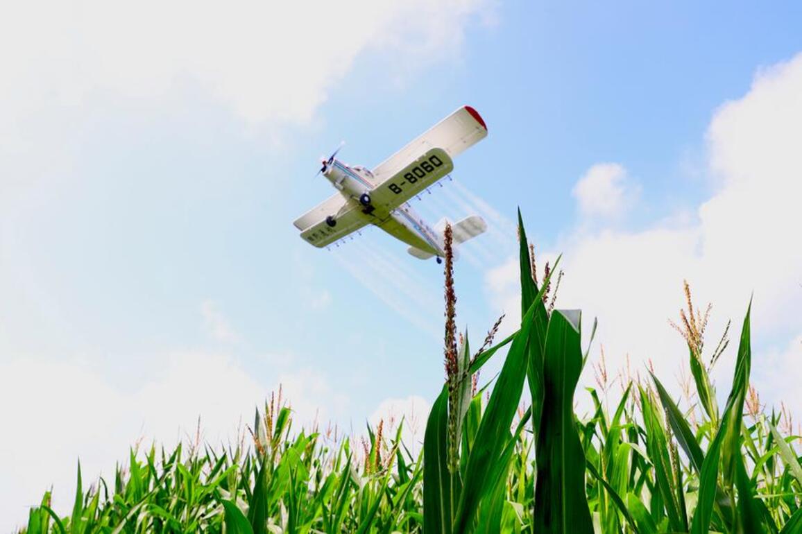 China's grain producer tapping into future of farming
