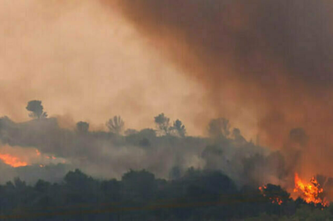 injuries and destruction due to wildfires in France and Spain