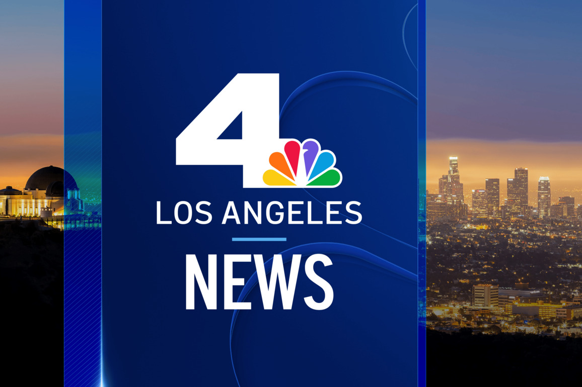 LA County offering loans to Eaton Fire-affected small businesses  NBC Los Angeles