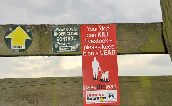 From the editor: Olivia Midgley - 'Government must go further to tackle livestock worrying'