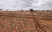 WA producers impacted by drought can apply for State Government funding in May. Credit: Mark Saunders.