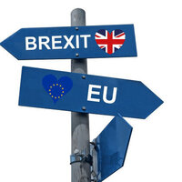 Rising Desire to Reverse Brexit as 10-Year Anniversary Approaches