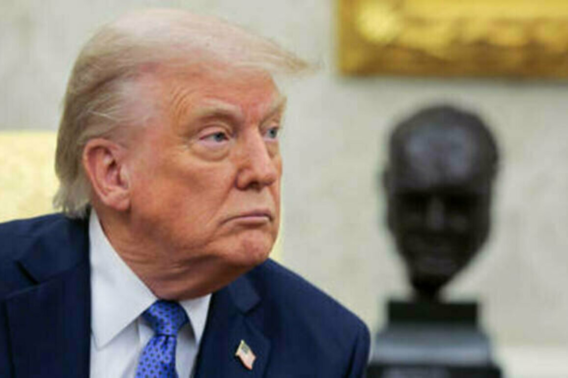 Negotiations between Russia and Ukraine will begin immediately - Trump on Putin call