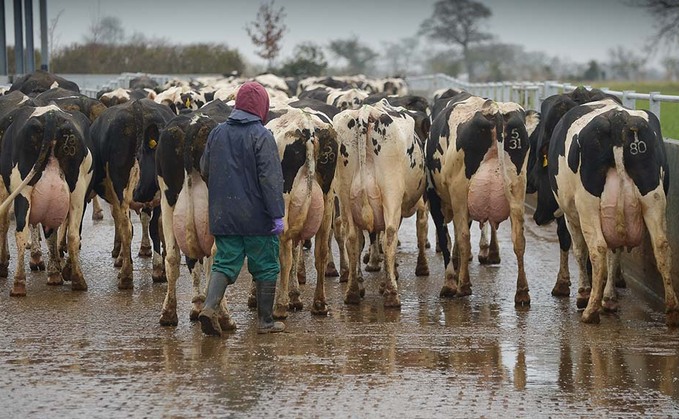 Dairy-Tech 2022: Getting recruitment right