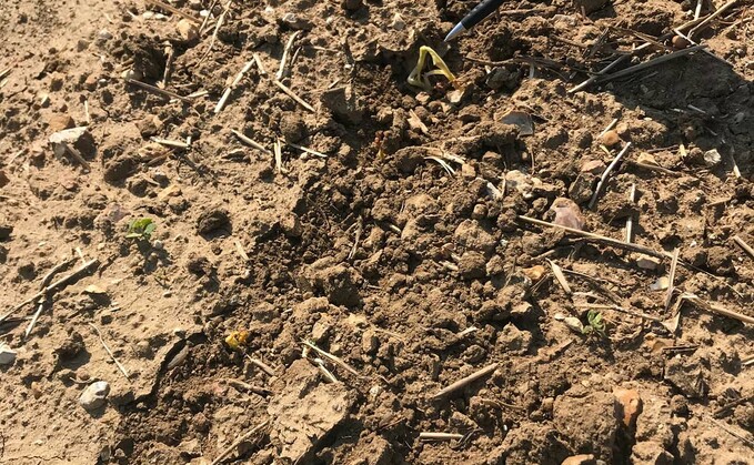 Fears are rising over soil health owing to drought Fears are rising over soil health owing to drought