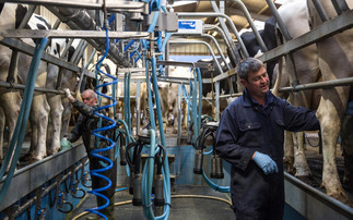 How to build a strong team on your dairy farm