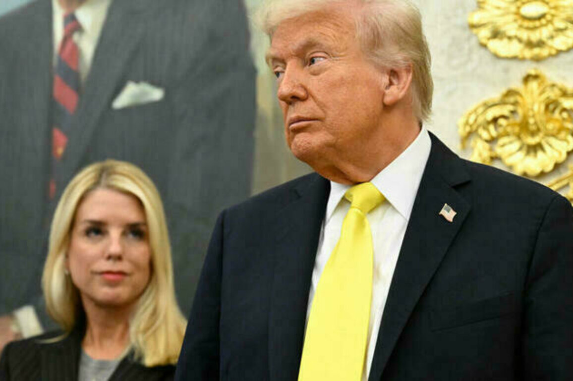 Trump says Justice Department could owe him $230 million in damages