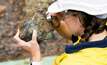 A worker at TNC's Cloncurry operations. Credit: True North Copper