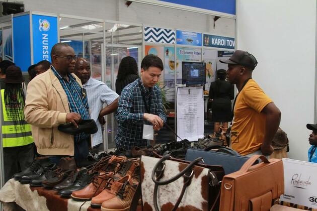 (Hello Africa) Zimbabwean leather sector eyes partnership with Chinese firms for value addition