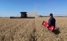 Kondinin Group’s Ben White in a paddock of irrigated wheat, testing a Fendt Ideal harvester for capacity and losses. 