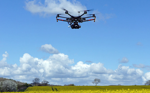 Drones to estimate carbon storage in hedges