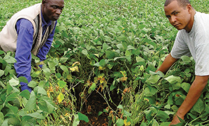 Investing in Agriculture will lead to economic growth Investing in Agriculture will lead to economic growth