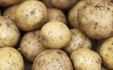 Prices up with potatoes in short supply