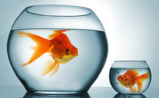 Asian fund-of-funds: In the balance