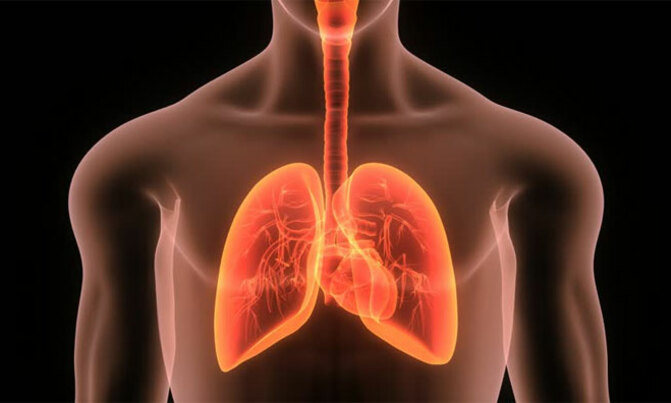 Immunotherapy boosts survival outlook for lung cancer patients: study Immunotherapy boosts survival outlook for lung cancer patients: study
