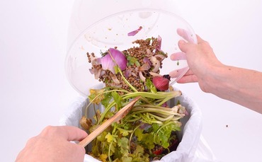 UK set to join UN Coalition on Food is Never Waste - Vimarsana News
