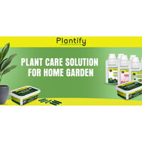 How Plantify Garden is Simplifying Home Gardening in India with Easy-Care Plant Nutrition Solutions