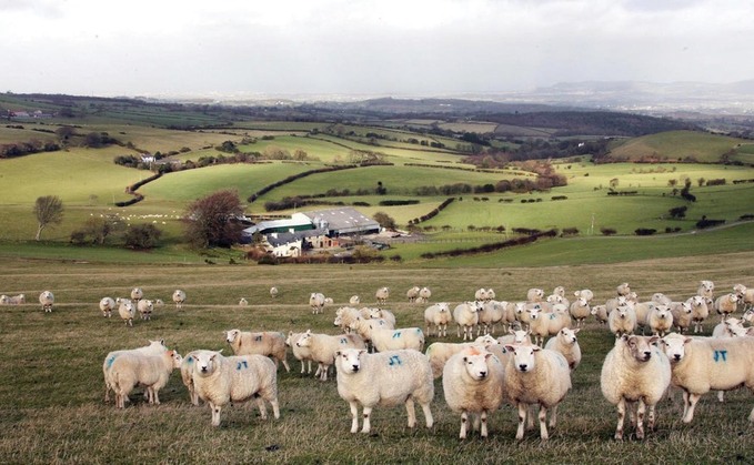 Sustainability the selling point for Welsh meat