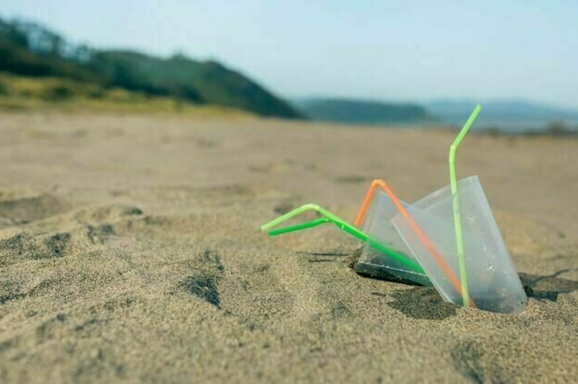 Donald Trump wants to bring back plastic straws, but the world is going in another direction
