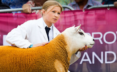 Jeff and Katie Aiken: Stockmanship, success and starting again | For Flock's Sake Ep3