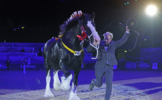 HOYS celebrates 75 years