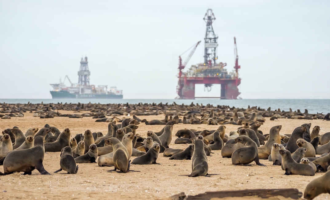 A seals colony against an ocean near Walvis bay, Namibia, with a diamond mining vessel in the background.