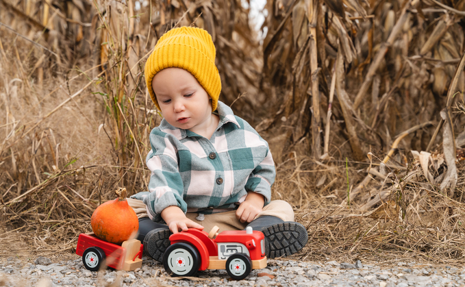 The NFU has asked for farming families to send in their old toys as part of an exhibition