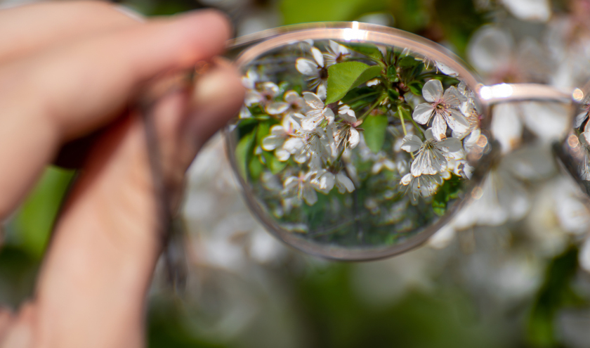 (C) Kathrine Andi / Shutterstock