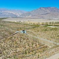 Xiconomics: Why China's green turn matters in a warming world