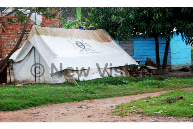 In Pictures: Outlook of Lusanja today In Pictures: Outlook of Lusanja today