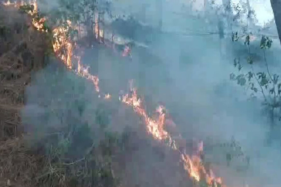 Rajouri forest fires rage across multiple locations, firefighting operations underway