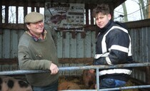 Direct selling boosts growth for Cambridgeshire mixed livestock farm