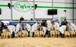 Entries up at North East Live