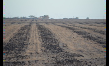  Summer watch:  Keeping an eye on soil  moisture levels over summer is a key to next year’s crop planning. Photo: Mark Saunders. 