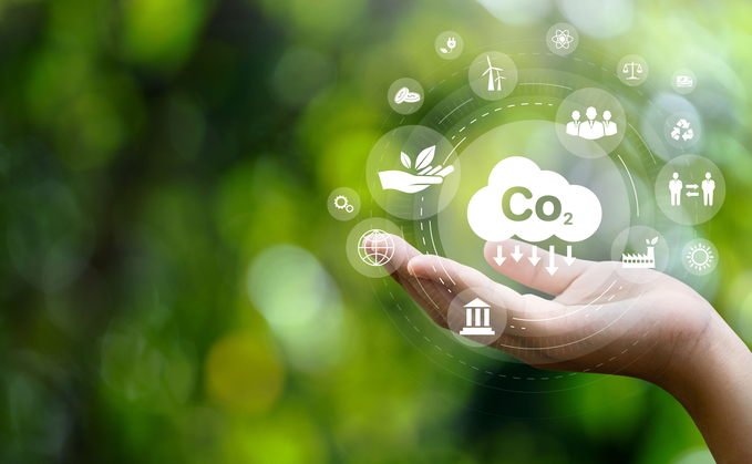 Natural Carbon Solutions launches new net zero certification scheme 