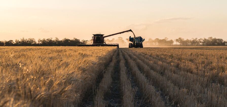 Bendigo Bank has estimated this season's national winter crop production at 54.6mt.