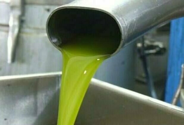 Syria produces 122,000 tons of olive oil