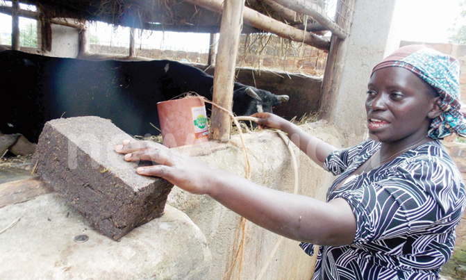 Best farmers: Meet Dr. Diana Nambatya Best farmers: Meet Dr. Diana Nambatya