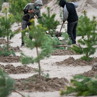 CHINA-INNER MONGOLIA-HORQIN-SAND CONTROL (CN)