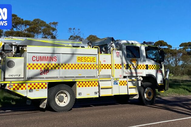 Pilot dies in light plane crash at Yeelanna on SA's Eyre Peninsula