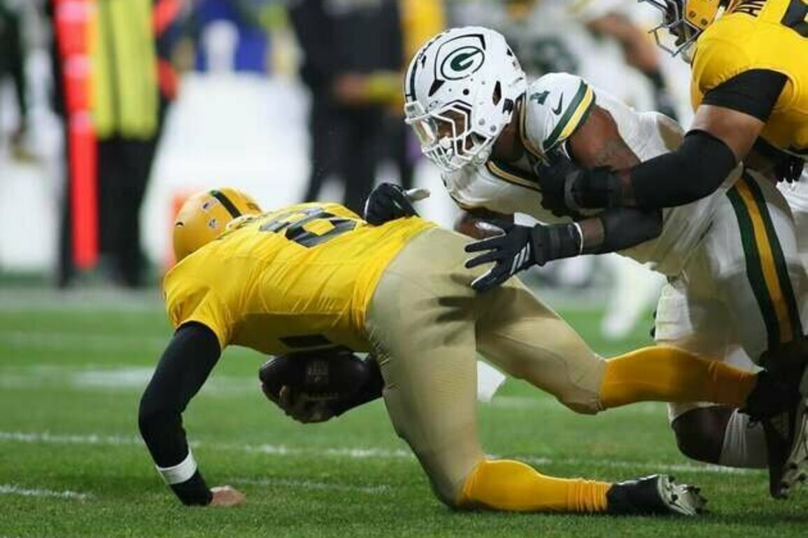 Stellar Packers defense to grapple with dangerous Panthers rushing attack