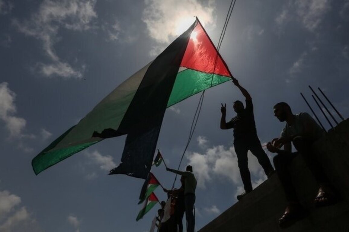 Peace Building Opportunities in the Shadow of Scholasticide in Gaza