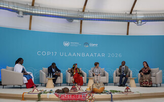 COP17: How UN desertification talks delivered 'mixed results' for combatting drought and land degradation