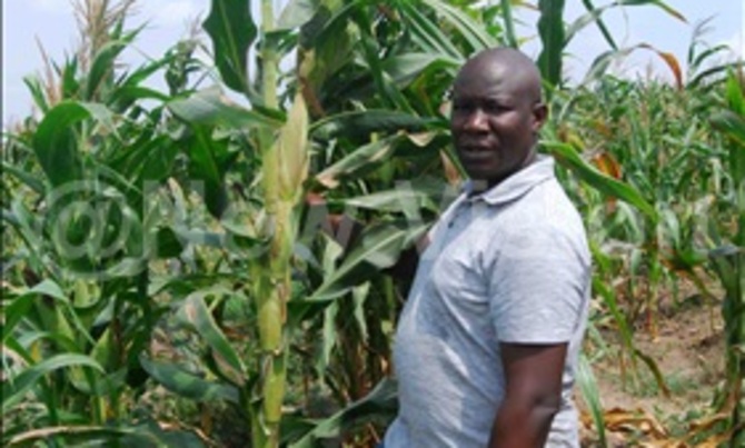 Experts turned Kalere into a modern farmer Experts turned Kalere into a modern farmer