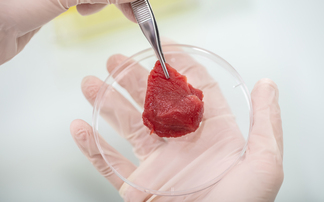 Seven US states announce ban on lab-grown meat production